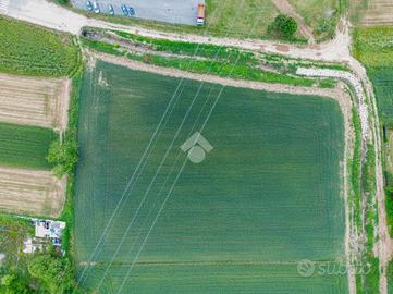TER. AGRICOLO A TREZZANO ROSA