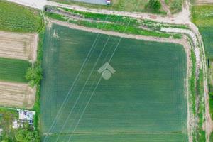 TER. AGRICOLO A TREZZANO ROSA