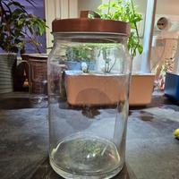 Contenitore in vetro Ikea Korken, 1.8L