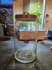 Contenitore in vetro Ikea Korken, 1.8L