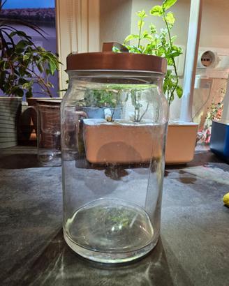 Contenitore in vetro Ikea Korken, 1L