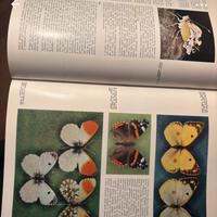 Enciclopedia Scienze Naturali