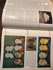 Enciclopedia Scienze Naturali