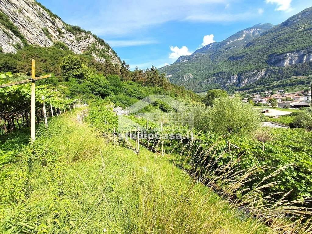Terreno di 3500 m² a Mori - Vista 4