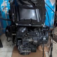 Motore Triumph Tiger 800 xc