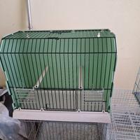 gabbie per uccellini 