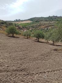 Terreno rustico mq 10000