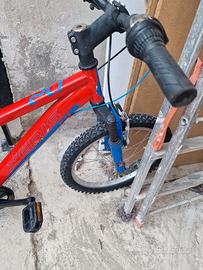 bicicletta