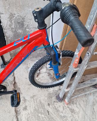 bicicletta
