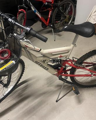 Bicicletta
