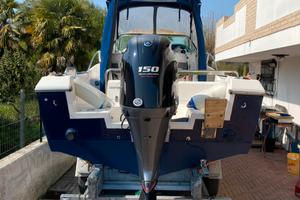 white shark 206 / yamaha wmax150