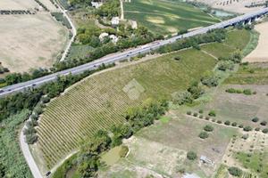 TER. AGRICOLO A GIULIANOVA