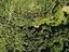 Immagine 25