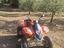 Immagine 2