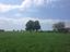 Immagine 10
