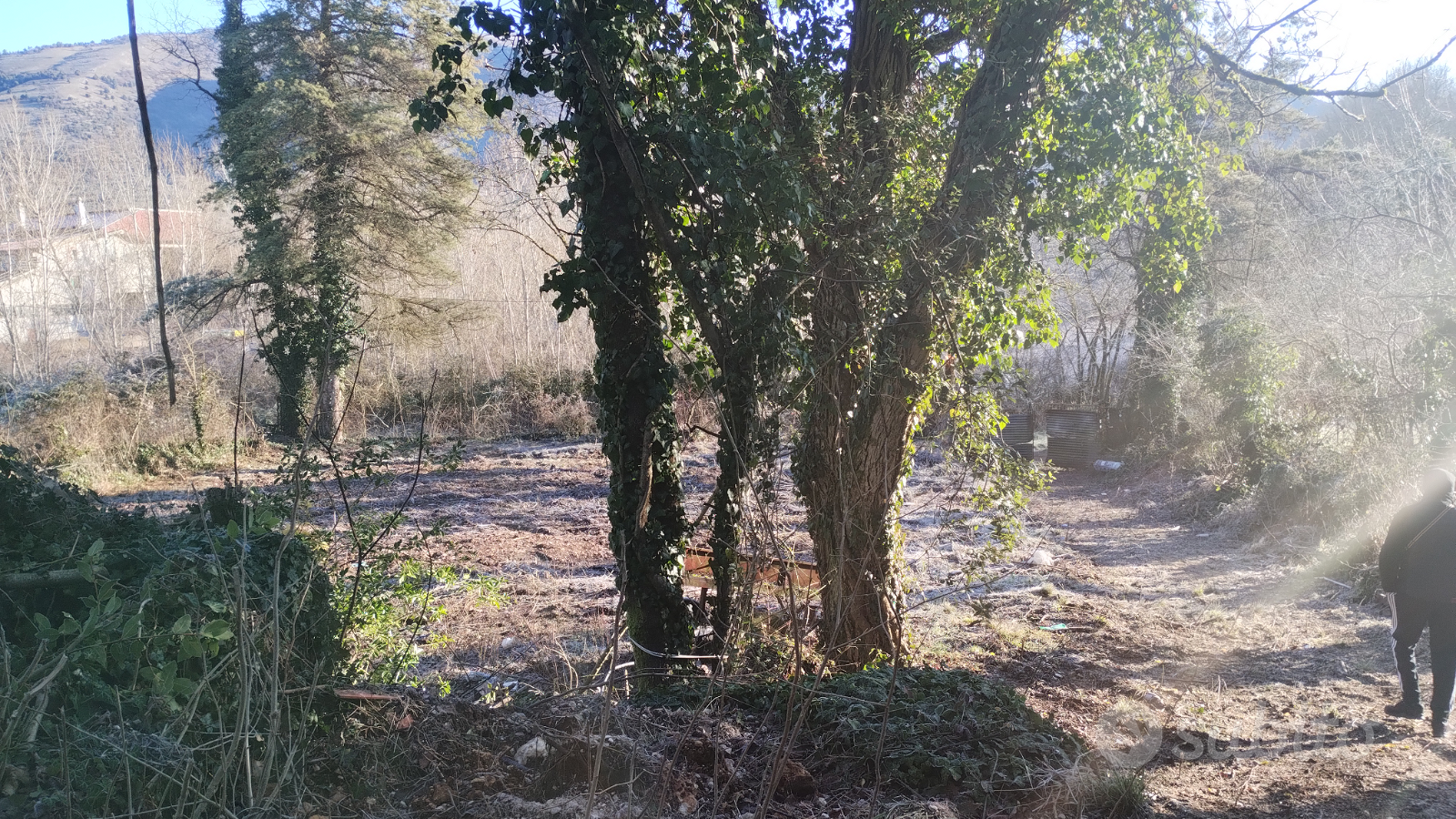 Terreno agricolo con fabricato cat a/3 - Ansicht 4