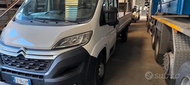 Citroen jumper cassone