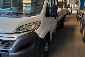 Citroen jumper cassone