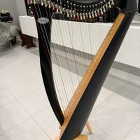 Arpa Salvi modello Juno