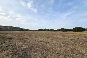 Rif.10902TG98749| terreno agricolo carbonia