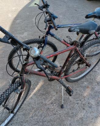 Bici Mountain bike