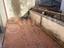 Immagine 27