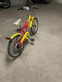 Bicicletta mtb vicini 20 bambino