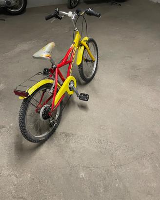 Bicicletta mtb vicini 20 bambino