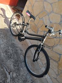 Bici Mountain bike