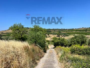 Terreno - Motta Sant'Anastasia