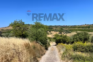 Terreno - Motta Sant'Anastasia