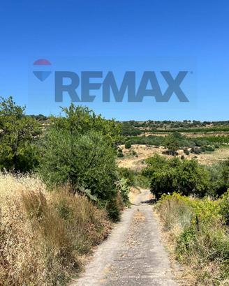 Terreno - Motta Sant'Anastasia