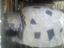 Immagine 3
