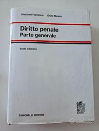 Libro di diritto penale
