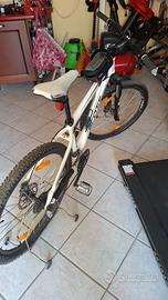 Mountain bike scott