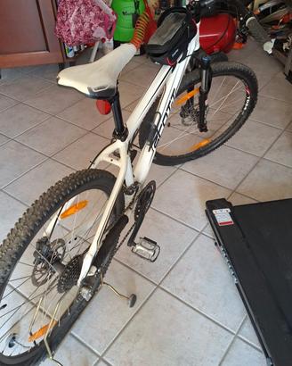 Mountain bike scott