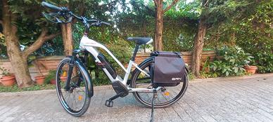 Bicicletta a pedalata assistita