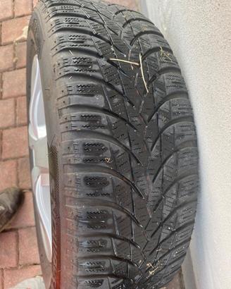 Gomme da neve