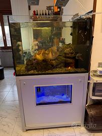Struttura acquario completa (circa 500 litri)