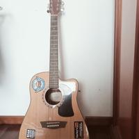 Chitarra acustica Washburn