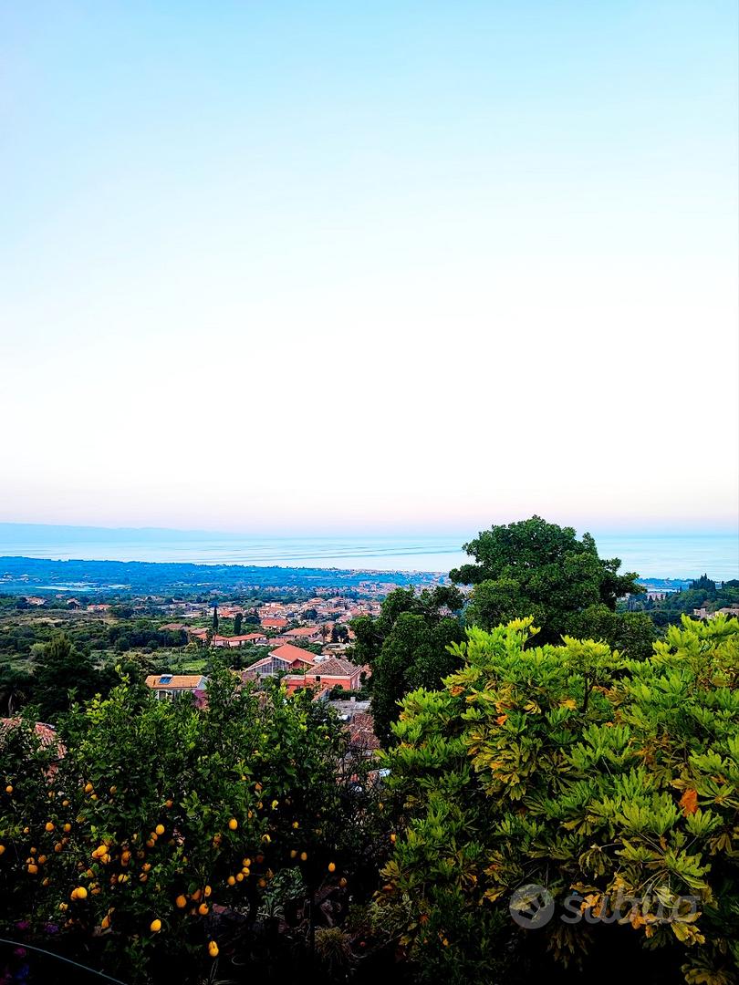 Agrumeto panoramico - Vista 4