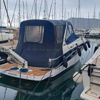 Four Winns 288 Vista motori benzina