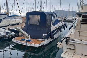 Four Winns 288 Vista motori benzina