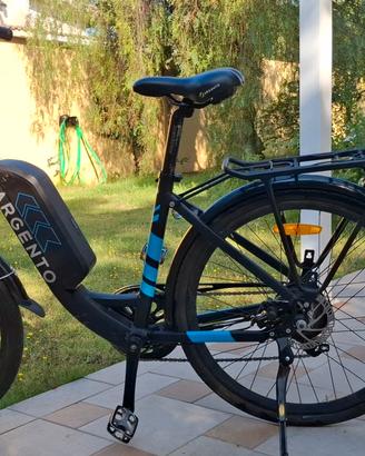 Bicicletta elettrica