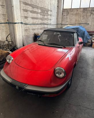 Splendido duetto alfa romeo