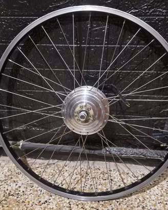 Motore Bici Elettrica 36V 250W Anteriore 26"