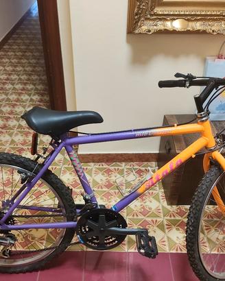 Bici mai usata