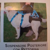 sospensore posteriore con pettorina per cane