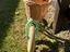 Immagine 4