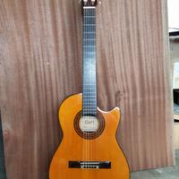 chitarra elettrificata CORT AN 2